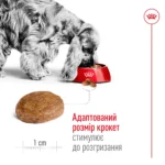 Корм для дорослих собак середніх порід віком ROYAL CANIN MEDIUM ADULT 7+(від 7 років) - Зображення 3