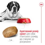 Корм для дорослих собак гігантських порід ROYAL CANIN GIANT ADULT 15.0 кг - Зображення 3