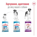 Корм для дорослих собак гігантських порід ROYAL CANIN GIANT ADULT 15.0 кг - Зображення 2