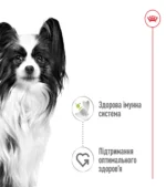 Вологий корм для дорослих собак ROYAL CANIN XSMALL ADULT IN GRAVY 0.085 кг - Зображення 4