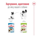 Вологий корм для дорослих собак ROYAL CANIN XSMALL ADULT IN GRAVY 0.085 кг - Зображення 2