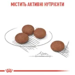Корм для собак малих розмірів із чутливою системою травлення ROYAL CANIN MINI DIGESTIVE CARE 3 кг - Зображення 4