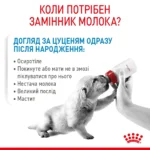 Молоко для новонароджених собак ROYAL CANIN BABYDOG MILK - Зображення 4