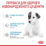 Молоко для новонароджених собак ROYAL CANIN BABYDOG MILK - Зображення 3