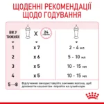 Молоко для новонароджених кошенят ROYAL CANIN BABYCAT MILK 0.3 кг - Зображення 2
