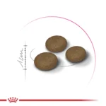 Корм для котів ROYAL CANIN EXIGENT FUSSY , з вибагливим апетитом - Зображення 3