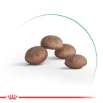 Корм для зрілих домашніх котів ROYAL CANIN AGEING 11+(від 11 років) - Зображення 3