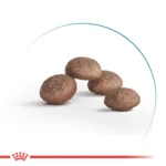 Корм для дорослих стерилізованих котів ROYAL CANIN STERILISED 11+(віком від 11 років) - Зображення 3