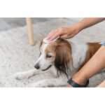 Серветки Trixie для очищення універсальні з алое пластикова банка 30 шт/уп - Зображення 2