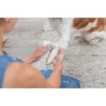 Серветки Trixie для очищення універсальні з алое пластикова банка 30 шт/уп - Зображення 3