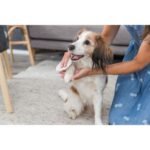 Серветки Trixie для очищення універсальні з алое пластикова банка 30 шт/уп - Зображення 4