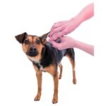 Серветки Trixie для догляду за вухами 30шт - Зображення 4