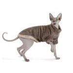 Светр Tim ТМ Pet Fashion для кота, кавовий - Зображення 3