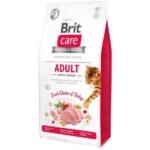 Корм сухий Brit Care Cat Grain Free Adult Activity Support для вуличних та дорослих котів філе індички та курки
