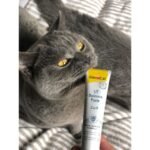 Вітаміни GimCat Expert Line UT Balance для котів паста для нирок та сечовивідних шляхів 50 г - Зображення 3