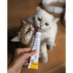 Вітаміни GimCat Expert Line Kitten для кошенят вітамінізована паста 50 г - Зображення 2