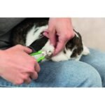 Кігтеріз-ножиці Trixie для дрібних тварин і птахів нержавіюча сталь 8 см - Зображення 2