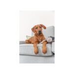 Іграшка Trixie для собак BE NORDIC Черепаха Хауке поліестер/бавовна сірий 34см - Зображення 6