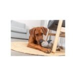 Іграшка Trixie для собак BE NORDIC Черепаха Хауке поліестер/бавовна сірий 34см - Зображення 5