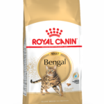 Корм для дорослих котів породи Бенгальська ROYAL CANIN BENGAL ADULT