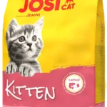 JosiCat Kitten