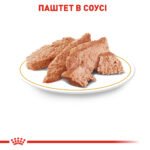 Вологий корм для дорослих собак ROYAL CANIN POODLE ADULT 0,085кг - Зображення 6