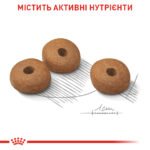 Корм для дорослих і зрілих собак малих розмірів ROYAL CANIN® МІНІ ЛАЙТ ВЕЙТ КЕАР 3кг - Зображення 4