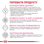 ROYAL CANIN QUEEN - Зображення 5