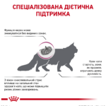 Сухий корм ROYAL CANIN  Early Renal Feline для котів 0,4кг - Зображення 4