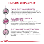 Сухий корм ROYAL CANIN  Early Renal Feline для котів 0,4кг - Зображення 2