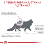 Корм для дорослих котів ROYAL CANIN RENAL FELINE - Зображення 5