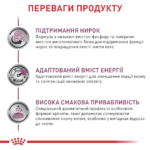 Корм для дорослих котів ROYAL CANIN RENAL FELINE - Зображення 3