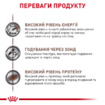 Вологий корм для дорослих котів та собак ROYAL CANIN Recovery 0,195кг - Зображення 3