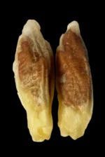 Ласощі для собак вуха кролика з рибою, Nature's Protection Superior Care Snacks For Dogs Rabbit Ears With Fish 75г - Зображення 2