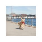 Іграшка Trixie для собак Лобстер плюш червоний 34 см - Зображення 2