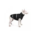 Жилет Pet Fashion Big Boss для собак чорний
