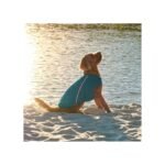 Жилет Pet Fashion E.Vest для собак морська хвиля - Зображення 3