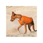 Жилет Pet Fashion E.Vest для собак помаранчевий - Зображення 2