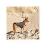Жилет Pet Fashion E.Vest для собак сірий - Зображення 3