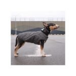 Жилет Pet Fashion E.Vest для собак сірий - Зображення 2