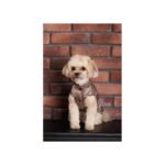 Жилет Pet Fashion Hardy для собак утеплений водонепроникний з отвором для повідця бежевий - Зображення 2