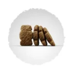 Kids Junior Medi/Maxi Йозера Кідс Юніор для середніх та великих порід - Зображення 3