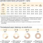 Корм для цуценят малих порід Home Food з ягням і рисом - Зображення 3