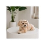 Кепка Pet Fashion Glamor для собак - Зображення 3