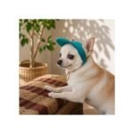 Кепка Pet Fashion Topaz для собак - Зображення 3