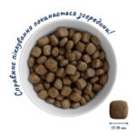 Повнораціонний сухий корм Home Food для дорослих собак DOG ADULT MAXI Гіпоалергенний Форель з рисом 10 кг - Зображення 3