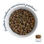 Повнораціонний сухий корм Home Food для дорослих собак DOG ADULT MEDIUM Здорова шкіра та блиск шерсті Індичка та лосось 10 кг - Зображення 3