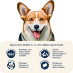 Повнораціонний сухий корм Home Food для дорослих собак DOG ADULT MEDIUM Здорова шкіра та блиск шерсті Індичка та лосось 10 кг - Зображення 5