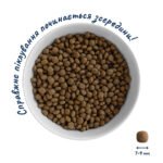 Повнораціонний сухий корм Home Food для дорослих собак DOG ADULT MINI Для активних собак і юніорів Ягнятина з рисом 10 кг - Зображення 3
