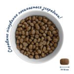 Повнораціонний сухий корм Home Food для дорослих собак DOG ADULT MEDIUM/MAXI Для активних собак і юніорів Ягнятина з рисом 1,6 кг - Зображення 3